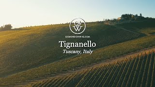 Tignanello Tuscany [upl. by Alamaj]