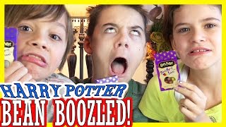 HARRY POTTER BEAN BOOZLED CHALLENGE Bertie Botts Every Flavour Beans  KITTIESMAMA [upl. by Avehsile]