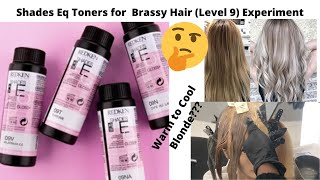 Shades Eq Toners for Brassy Hair Level 9 Experiment [upl. by Artimed]