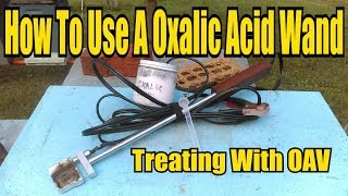 How To Use A Oxalic Acid Wand Treating With OAV [upl. by Farver]