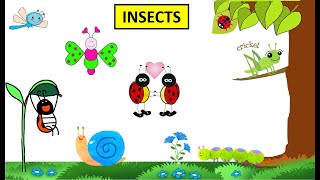 CBSE Class 4 Science Insects [upl. by Titos]