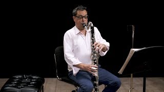 Instrument Bass Clarinet In Depth [upl. by Constantina]