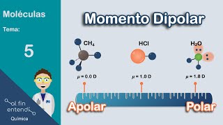 ¿Cómo determinar la POLARIDAD de las moléculas [upl. by Nitsirk706]