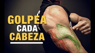 Ejercicios para Cada Cabeza del Tríceps ¡TRABAJA TODAS [upl. by Anahsak]