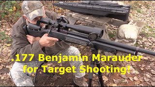 177 cal Benjamin Marauder for Target Shooting [upl. by Aimehs]