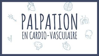 Sémiologie Cardiaque  Palpation [upl. by Flodnar858]