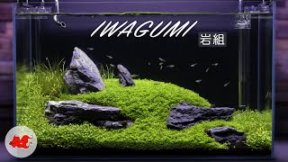 Iwagumi aquascaping 60l [upl. by Chessa]