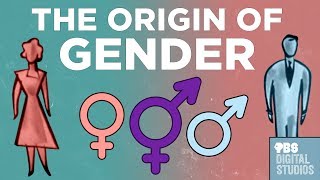 The Origin of Gender [upl. by Kirred]