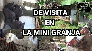 VISITANDO MINI GRANJA DEL SR ARENAS [upl. by Sewellyn247]