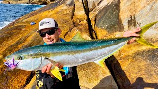 BIG Yellowtail Kingfish on fly  Solo camping on a wild and remote Island [upl. by Absalom]