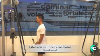 Extensión de Tríceps con barra [upl. by Milks]