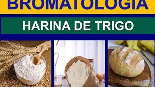 BROMATOLOGIA HARINA DE TRIGO OBTENCION [upl. by Enelec205]