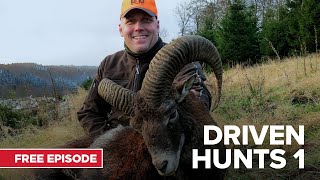 Driven Hunts  MyOutdoorTV  Free Episode [upl. by Aicel110]