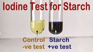 Iodine Test For Starch Practical Experiment [upl. by Franz]