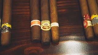 Understanding Cigars [upl. by Ettennek]