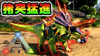 フィジカルエリート「トリケラトプス」を捕獲しろ！【ARK】 [upl. by Anibla791]