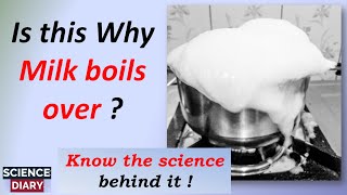 Why does milk spill over while boiling  Why milk boils over I English [upl. by Edaw951]