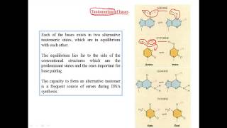 Tautomerization of bases [upl. by Alludba]