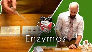 Enzymes  GCSE Science Required Practical [upl. by Rog150]