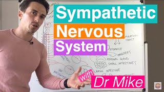 Sympathetic Nervous System [upl. by Alsworth]