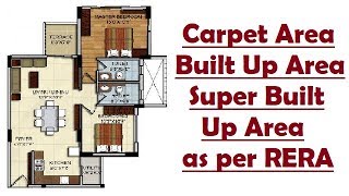 Carpet areaBuilt Up AreaSuper Built Up Area as per RERA [upl. by Seagrave]