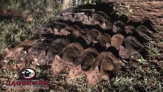 Hog Trapping  Permanent Hog Trap Site Capture  JAGER PRO™ [upl. by Ahsan]