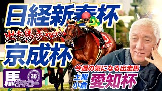 【京成杯amp日経新春杯】出走馬ジャッジ [upl. by Sension]