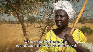 Turning the tide on desertification in Africa 7min43sec version [upl. by Winnie652]