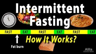 Intermittent Fasting  How it Works Animation [upl. by Leiuqese]