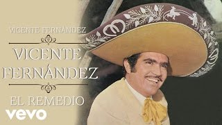 Vicente Fernández  El Remedio Cover Audio [upl. by Amuwkuhc]