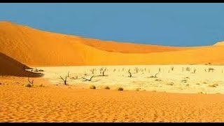 Desert Documentary HD  Kalahari Desert Wildlife Documentary [upl. by Ayat]