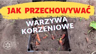 Jak przechować warzywa korzeniowe [upl. by Danzig]