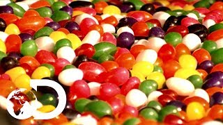 Jelly Beans  How Its Made [upl. by Arihay]