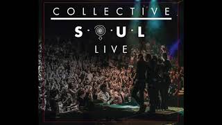 Collective Soul  Shine quotLIVEquot The Album Official [upl. by Eintroc913]