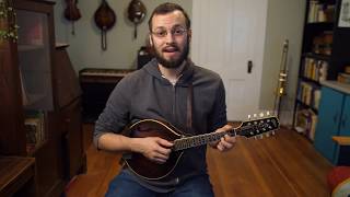 Beginner Mandolin Lessons Series Part Three Basic Strum Pattern [upl. by Anavrin]