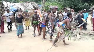 Mbuti Pygmy International Day of the Worlds Indigenous Peoples Traditional Dance [upl. by Enad]