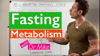 Fasting  What does it do to your body [upl. by Gimpel]