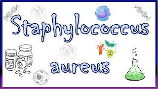 Staphylococcus aureus  Diseases Clinical Presentation Virulence Factors Diagnosis amp Treatment [upl. by Saalocin]