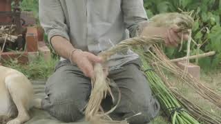 Nettles for Textiles [upl. by Yokoyama]