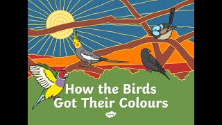 how the birds got their colours [upl. by Eelyah434]