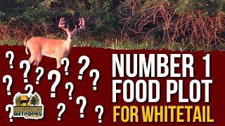 Don Higgins Number 1 Food Plot [upl. by Steel]