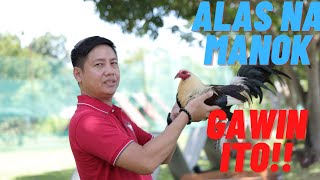 SABONG TIPS Paano Gumawa Ng Alas Na Manok Panabong [upl. by Eniad]