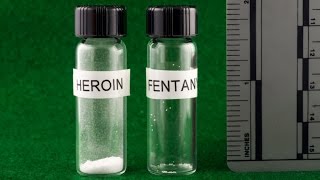 What Is the Drug Fentanyl and Why Is it a Threat to Law Enforcement Officers [upl. by Mira]