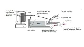 Understanding Spirometry  Normal Obstructive vs Restrictive [upl. by Atinet750]