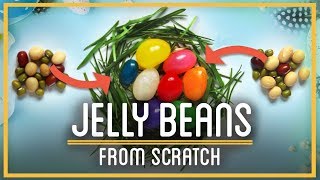 Can you turn BEANS into JELLYBEANS [upl. by Ajroj]