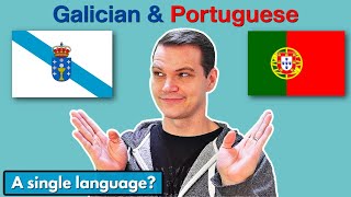 Galician vs Portuguese How SIMILAR are they [upl. by Canotas]