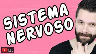 SISTEMA NERVOSO  FISIOLOGIA  Aula  Biologia com Samuel Cunha [upl. by Aeki996]