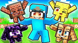 Blocks Are PETS In Minecraft [upl. by Jedlicka479]