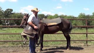 Tack tips for saddling and unsaddling [upl. by Anitel]