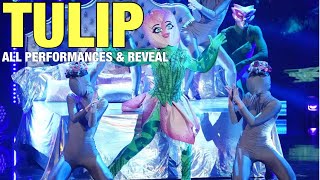 Tulip All Clues Performances amp Reveal Masked Dancer [upl. by Ricardo377]